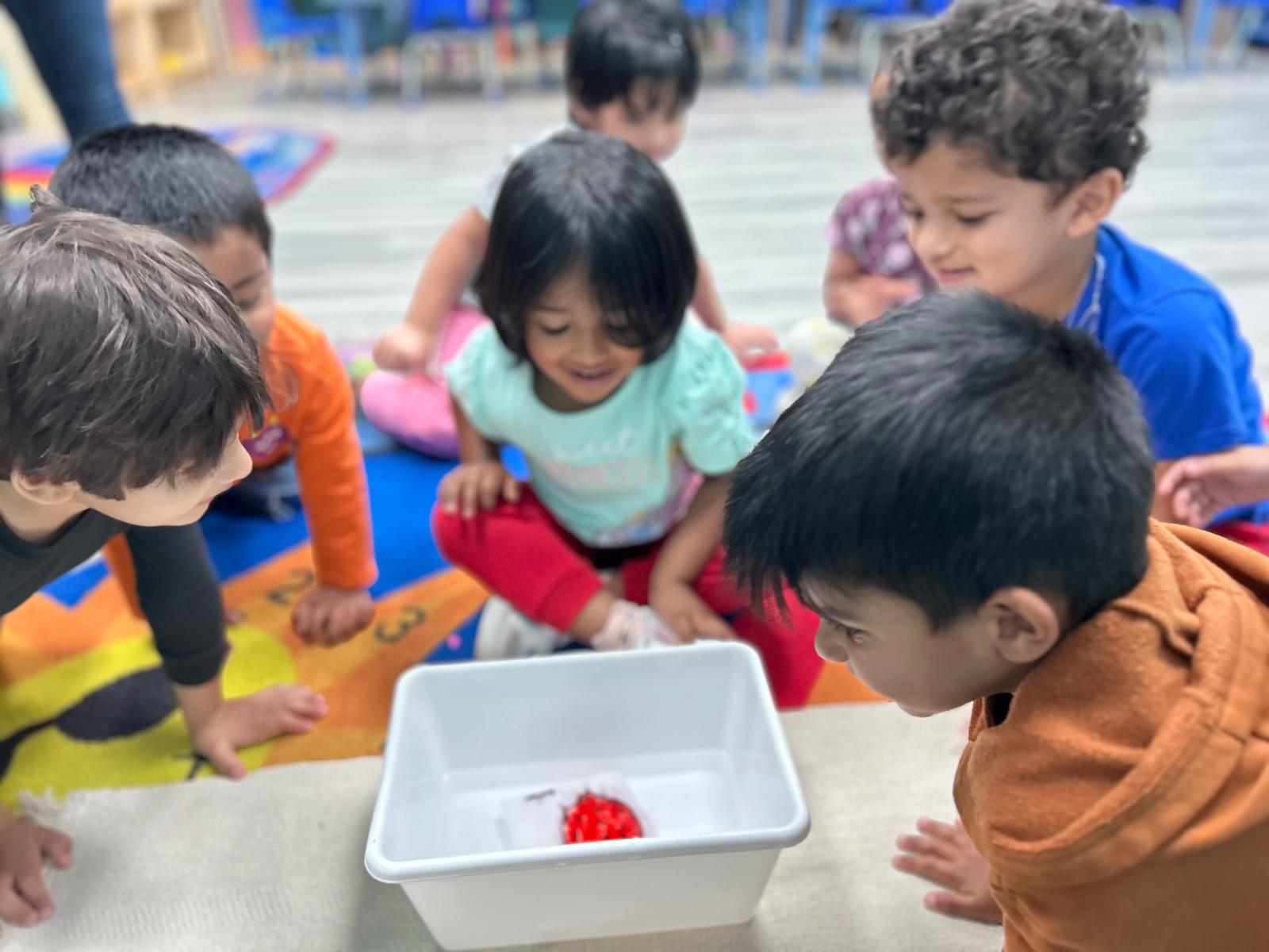 Prepared Environment